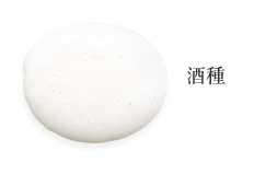 天然酵母のタルマーリーの全粒粉